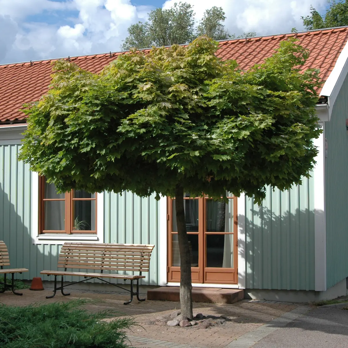 klotlönn