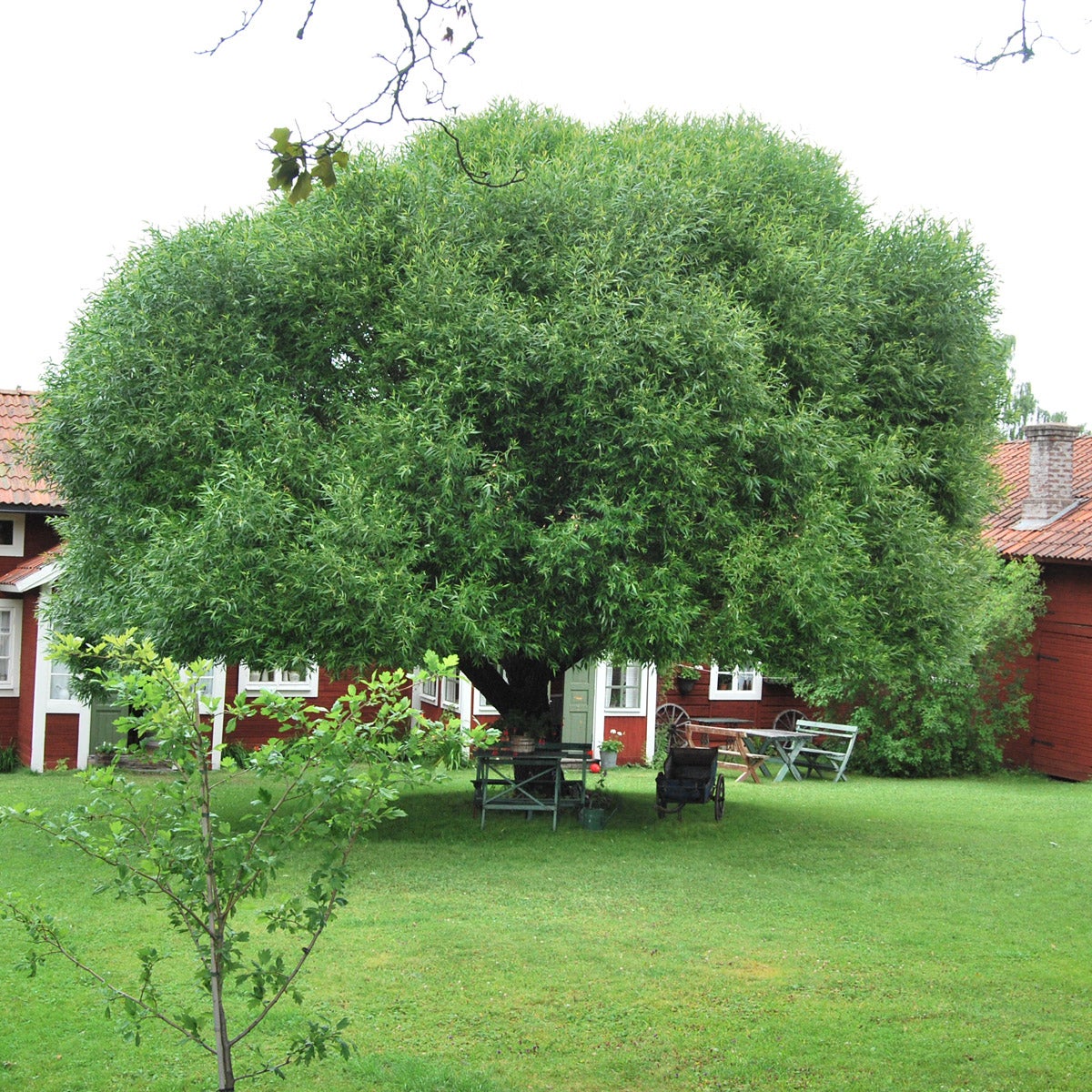 klotpil